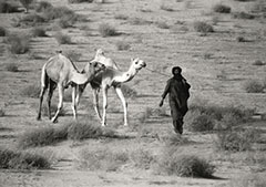 Mladý Tuareg míří do nedalekého, legendami opředeného Timbuktu. Tuaregové kočují po Sahaře se svými velbloudy a tradicemi. Dokonale znají poušť, čtou z hvězd a jsou to také vynikající obchodníci a umělci. Jejich výrobky ze stříbra mají věhlas v celé Africe.